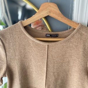 Zara fall/brown dress